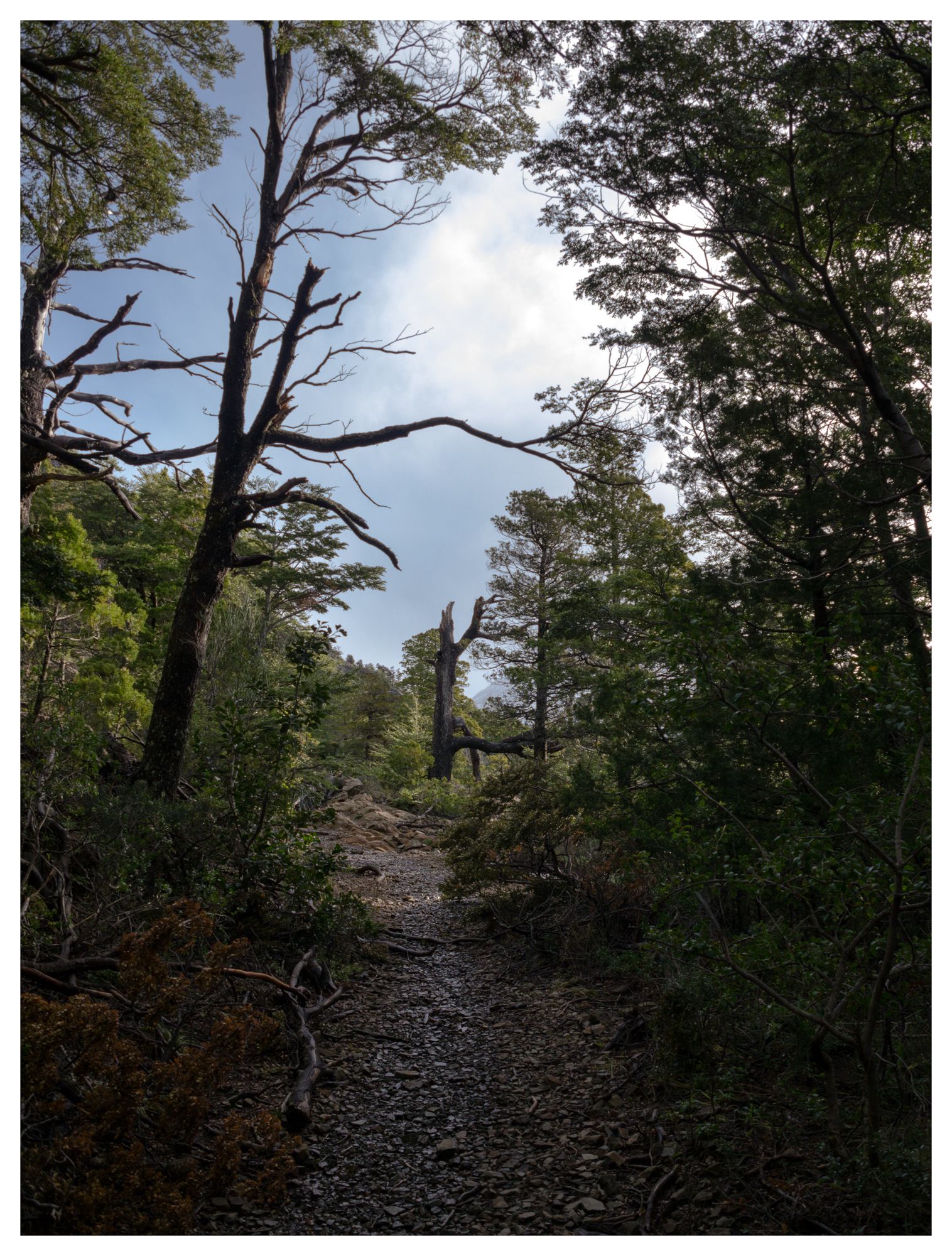 Cañón del Río Azul #01