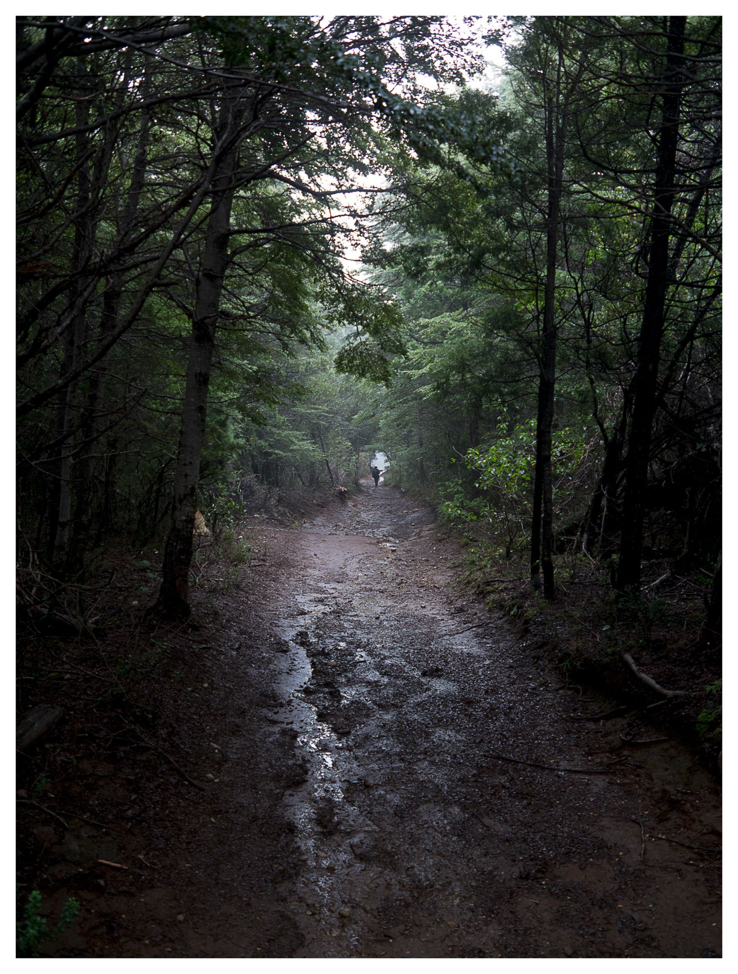 Cañón del Río Azul #04