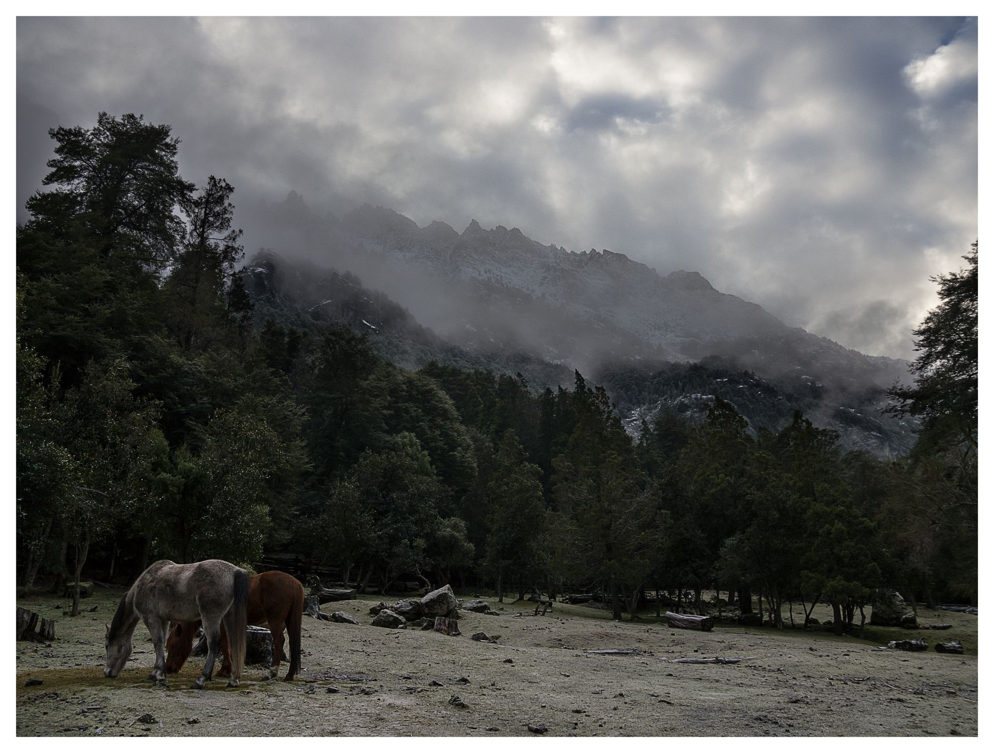 Cañón del Río Azul #10