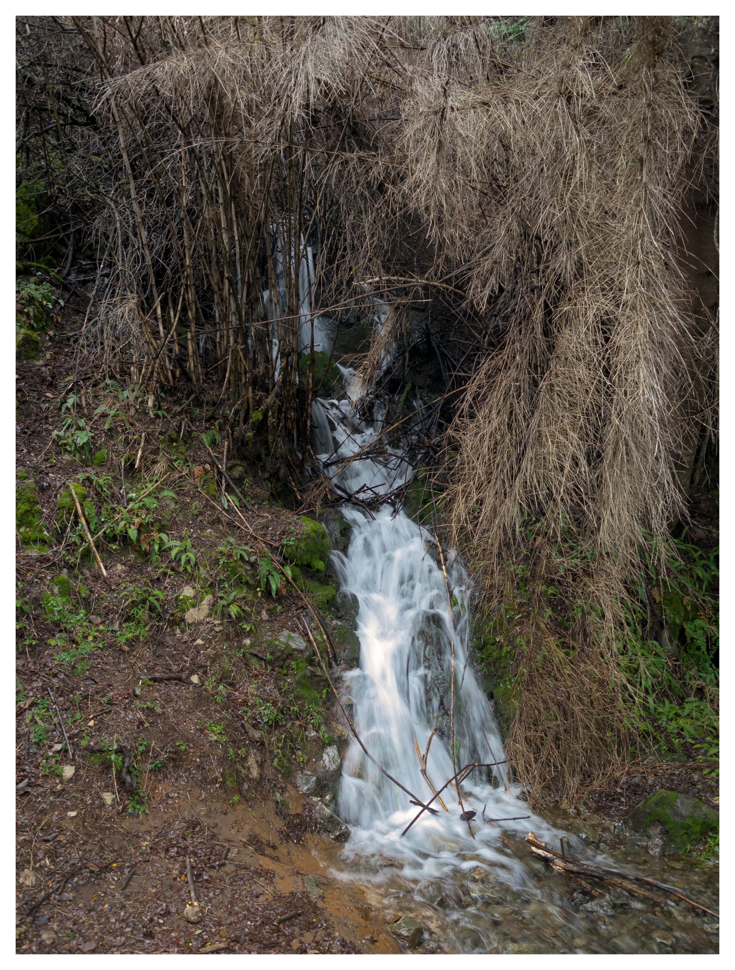 Can-on-del-Ri-o-Azul--12-16--19b-16-P1070429