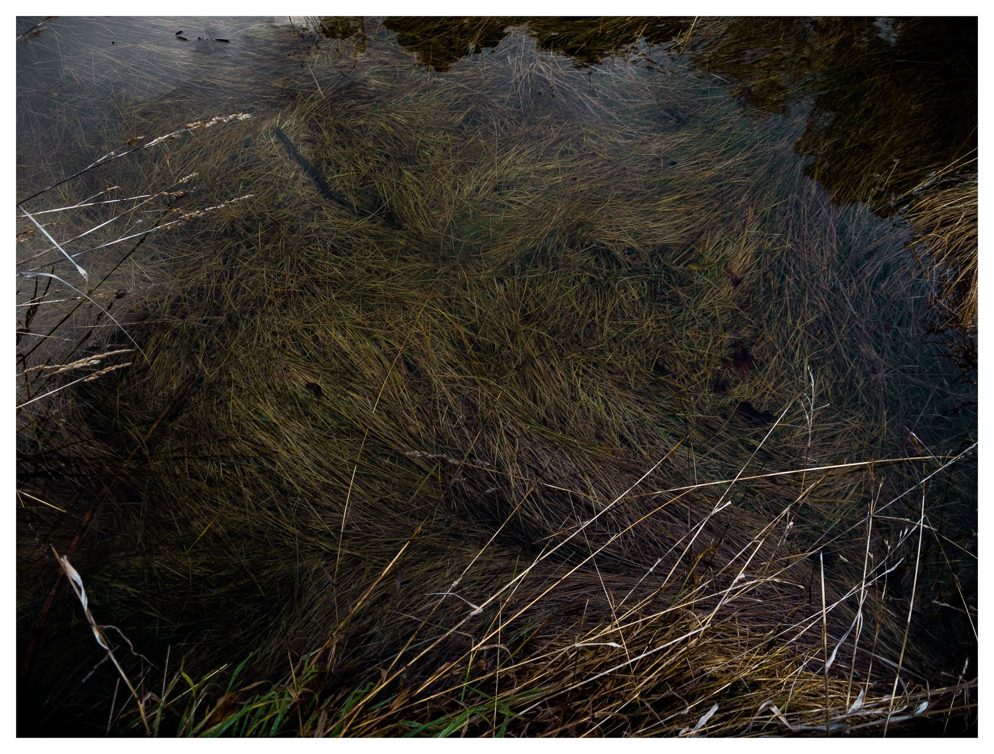 Cañón del Río Azul #16