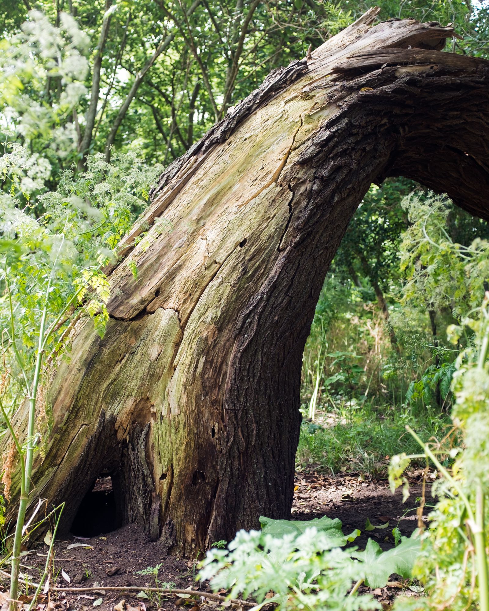 Gobernador Ugarte, Buenos Aires #02