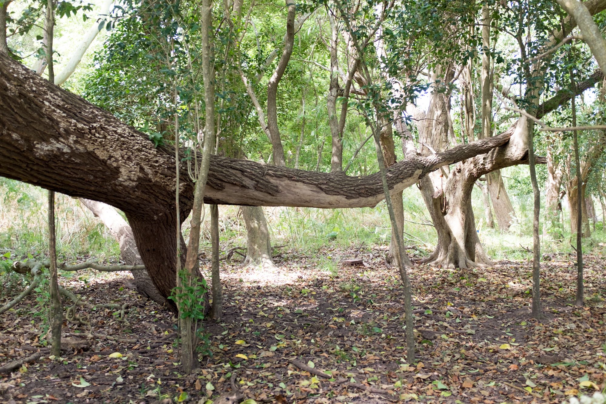 Gobernador Ugarte, Buenos Aires #03