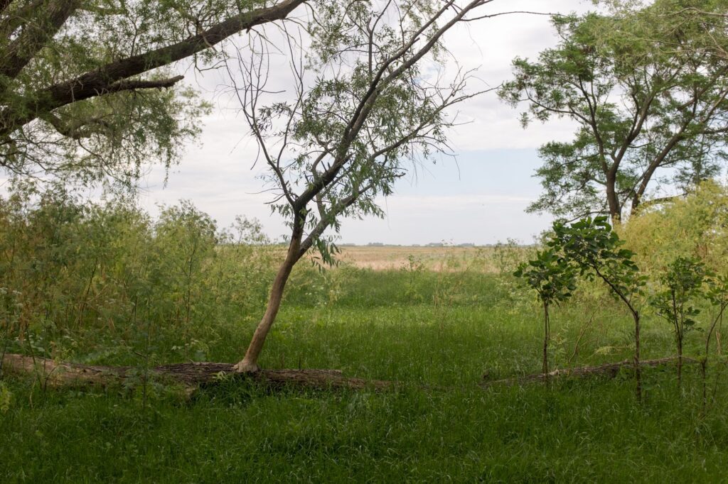 Gobernador-Ugarte--Buenos-Aires--06-_DSF5385