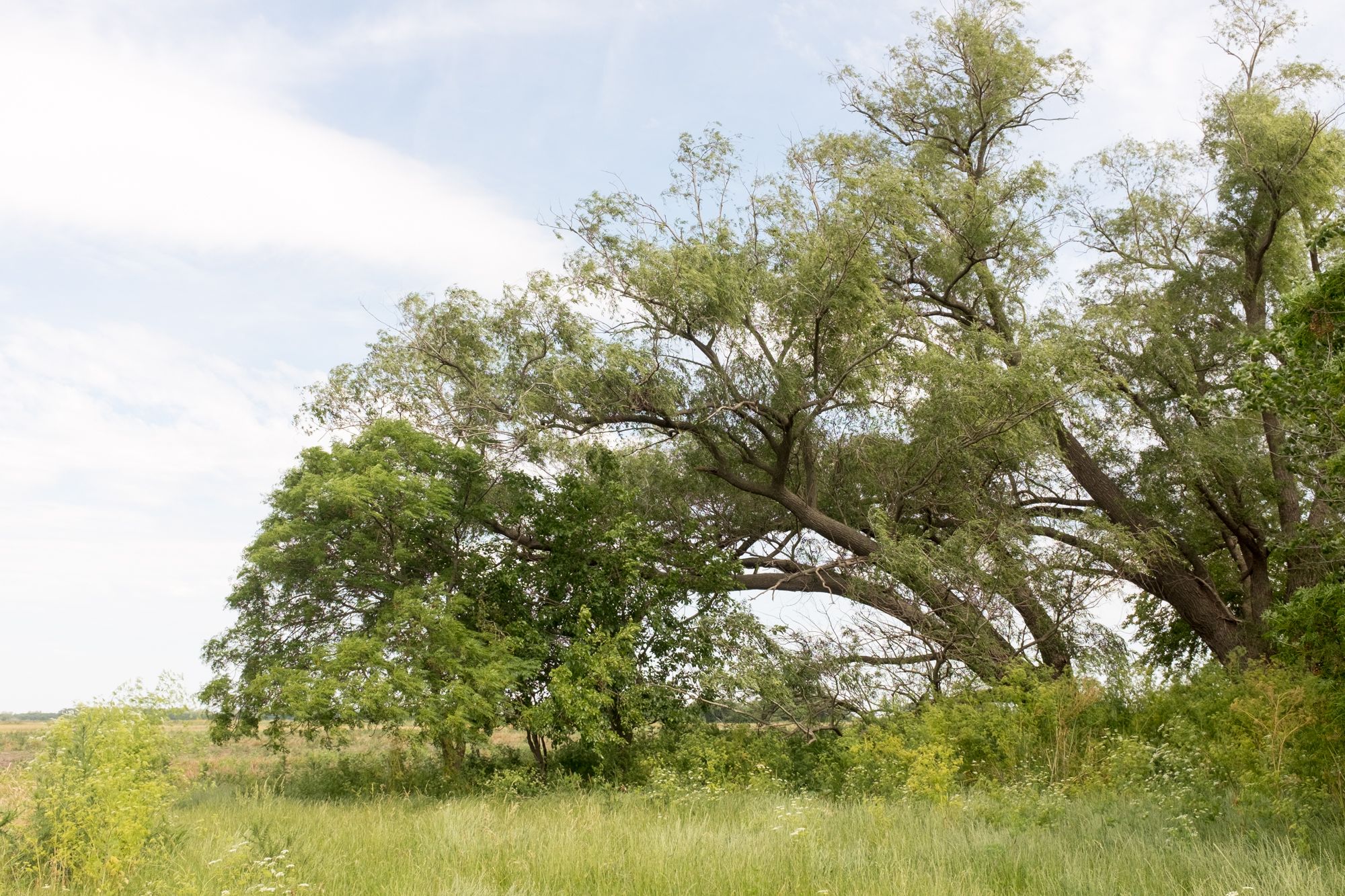 Gobernador Ugarte, Buenos Aires #11