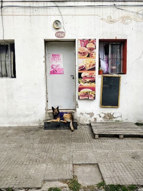 Mi Barrio [20210920-b]