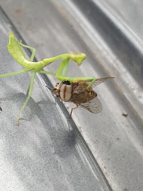 Mi Barrio [20220104]