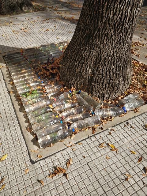 Mi Barrio [20220511-b]