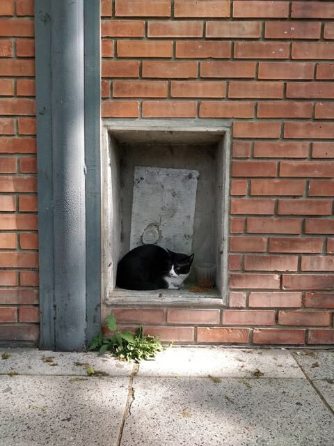 Mi Barrio [20221003]