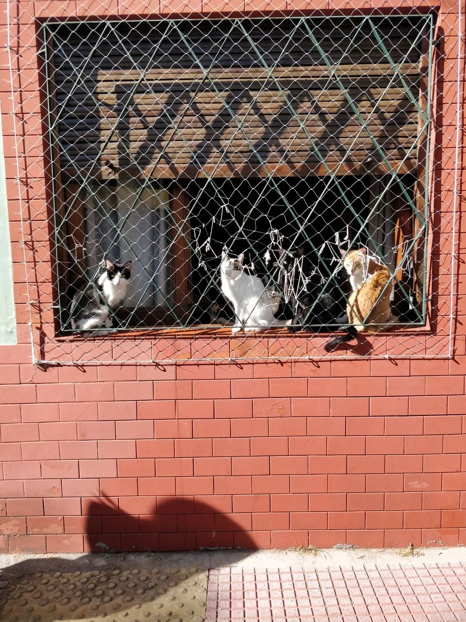 Mi Barrio [20221004]