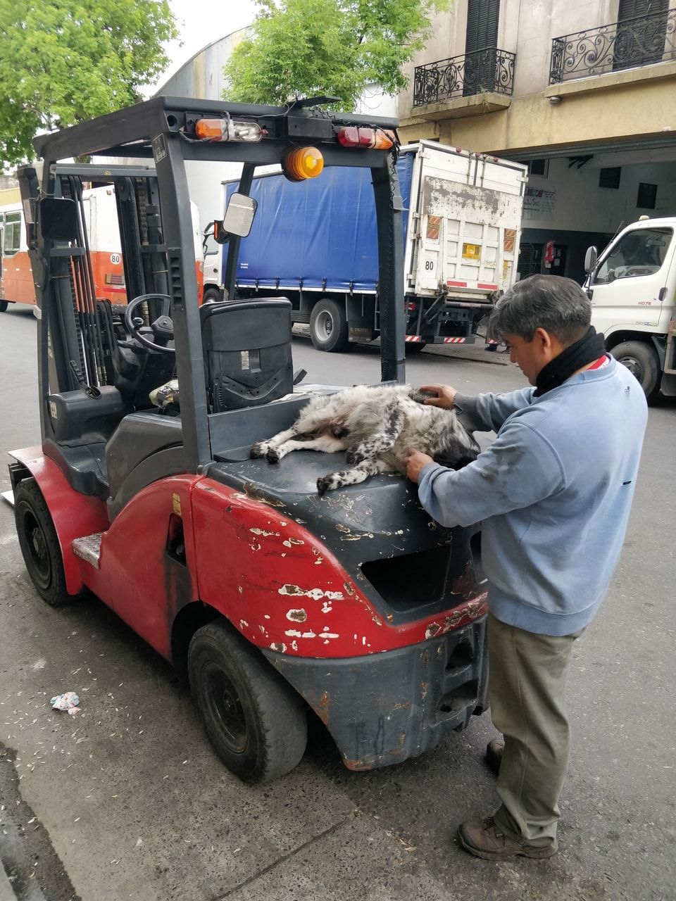 Mi Barrio [20221006]